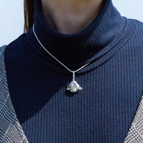 Clematis Bluebird Pendant Catherine Best Dev 