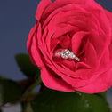 Trust In Me Ring Catherine Best Dev 