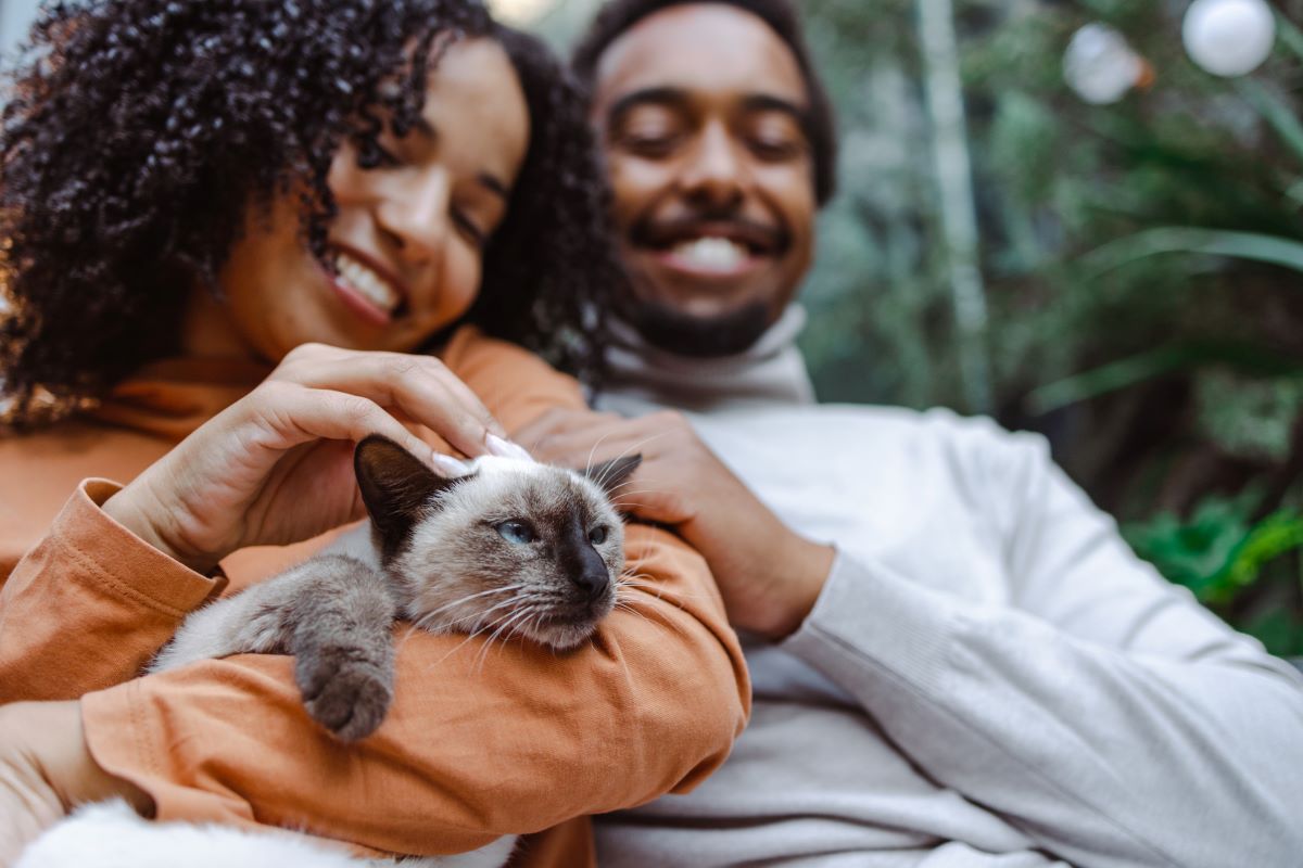 Couple smiling and petting a Siamese cat.