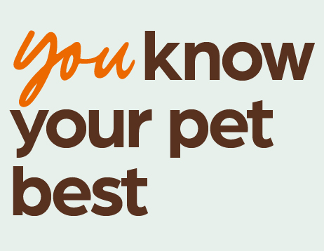 You know your pet best