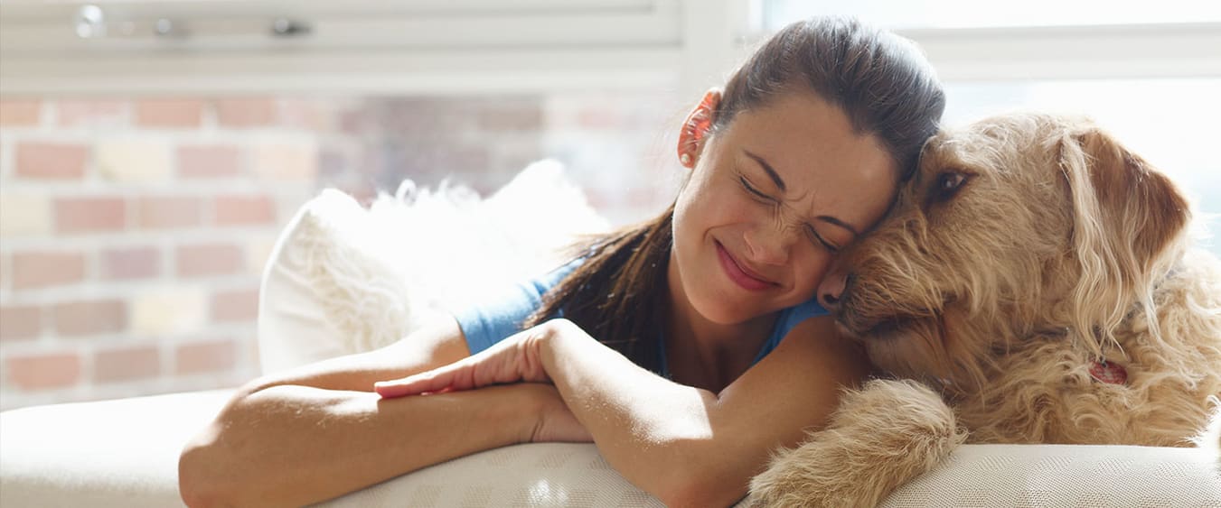 Woman holding white cat near a golden retriever
