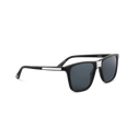 CB Sunglasses Mens Catherine Best Silver 