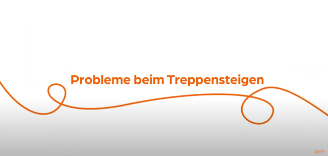 Text „ Probleme beim Treppensteigen“ mit orangefarbener Spirale auf weißem Hintergrund.