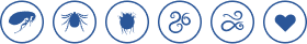 Íconos de una pulga, garrapata, ácaro, espiral, infinito y corazón en círculos azules