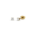 Shining Love Earrings Catherine Best Dev 18ct Yellow Gold 3.5mm 