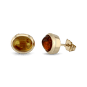 The CB Earrings Catherine Best Dev Amber 9ct Yellow Gold 