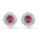 Rosa Earrings Catherine Best Dev 