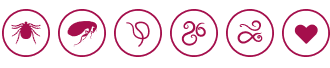 Simparica trio icons.