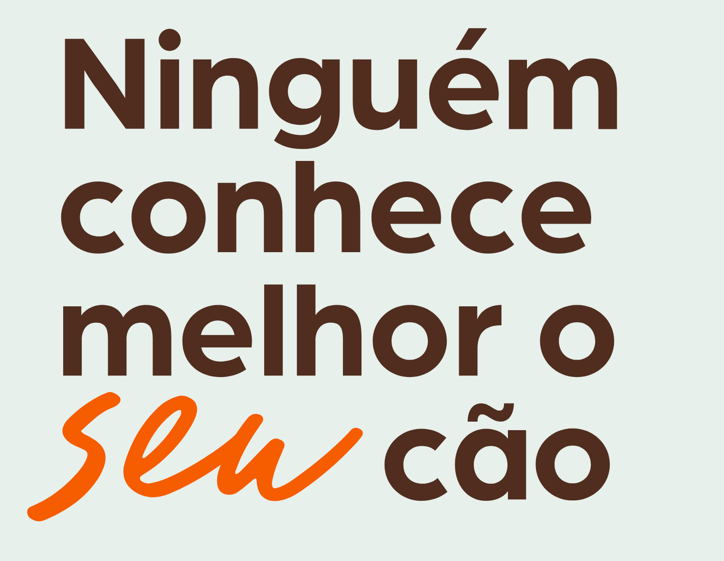 Ninguém conhece melhor o seu cão