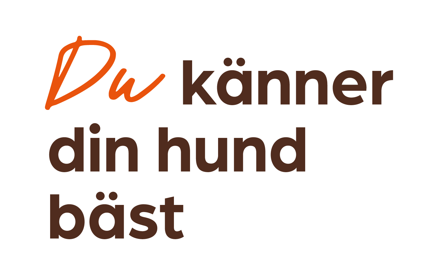 Du känner din hund bäst