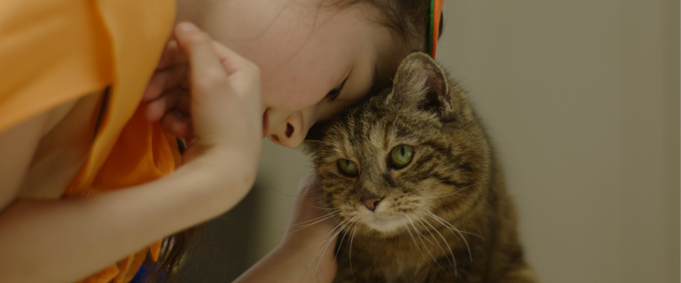 Child gently cuddling a tabby cat.