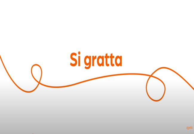Testo "Si gratta" con vortice arancione su sfondo bianco.