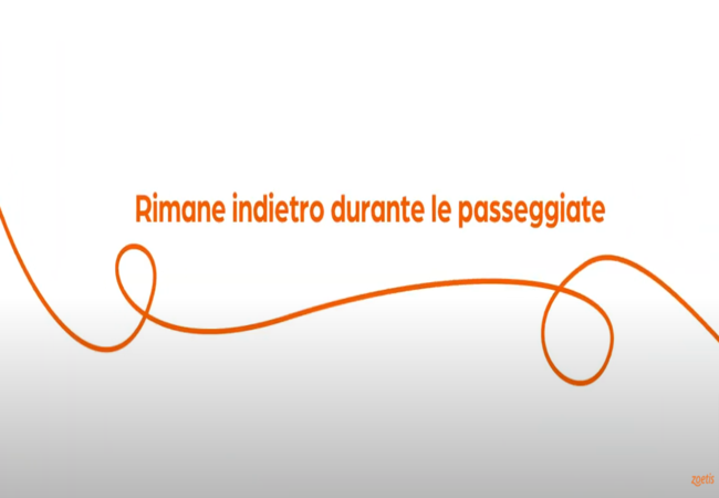 Testo "Tendenza a rimanere indietro durante le passeggiate" con vortice arancione su sfondo bianco.