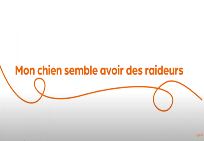 Texte « Mon chien semble avoir des raideurs » avec une spirale orange sur fond blanc.