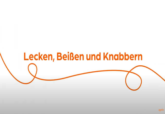 Text „Lecken, Beißen oder Kauen“ mit orangefarbener Spirale auf weißem Hintergrund.