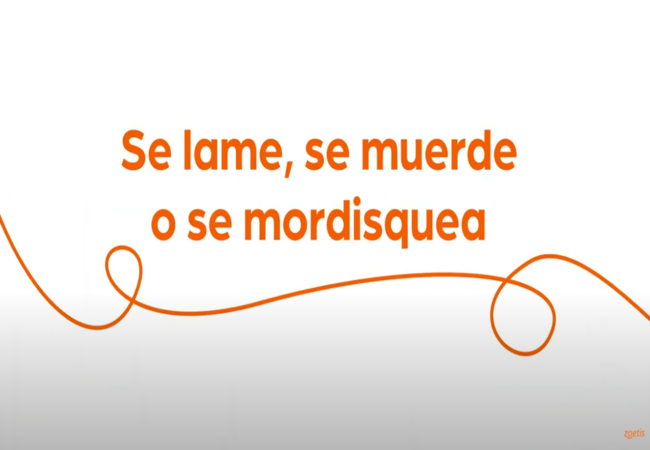 Texto "Se lame, se muerde o se mordisquea" con espiral naranja sobre fondo blanco.