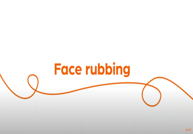 Text "Face rubbing" with orange swirl on white background.
