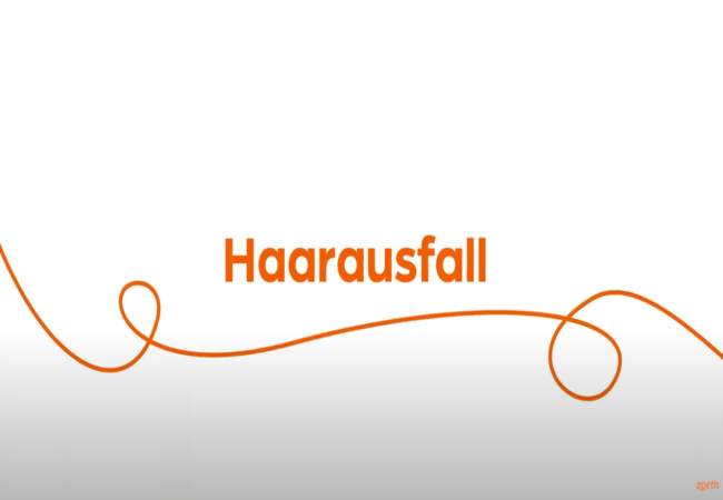 Text „Haarausfall“ mit orangefarbener Spirale auf weißem Hintergrund.