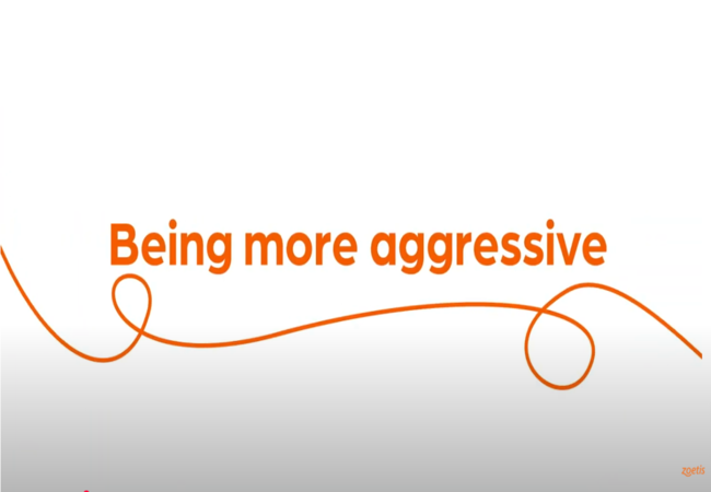 Text "More aggressive" with orange swirl on white background.