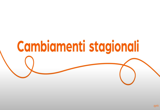 Testo "Cambiamenti stagionali" con vortice arancione su sfondo bianco.