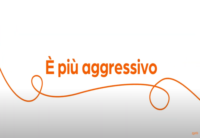 Testo "È più aggressivo" con vortice arancione su sfondo bianco.