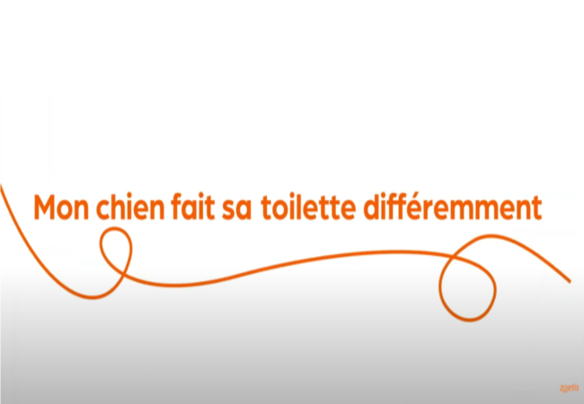 Texte « Mon chien fait sa toilette différemment » avec une spirale orange sur fond blanc.