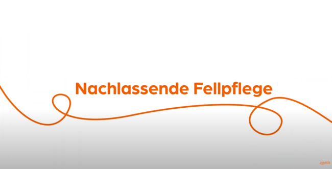 Text „ Nachlassende Fellpflege “ mit orangefarbener Spirale auf weißem Hintergrund.