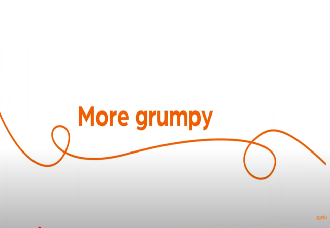 Text "More aggressive" with orange swirl on white background.