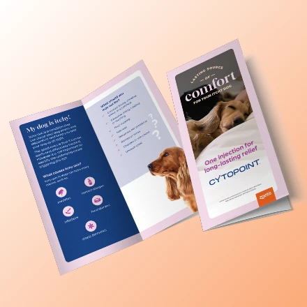 Cytopoint brochure with dog images and relief information.