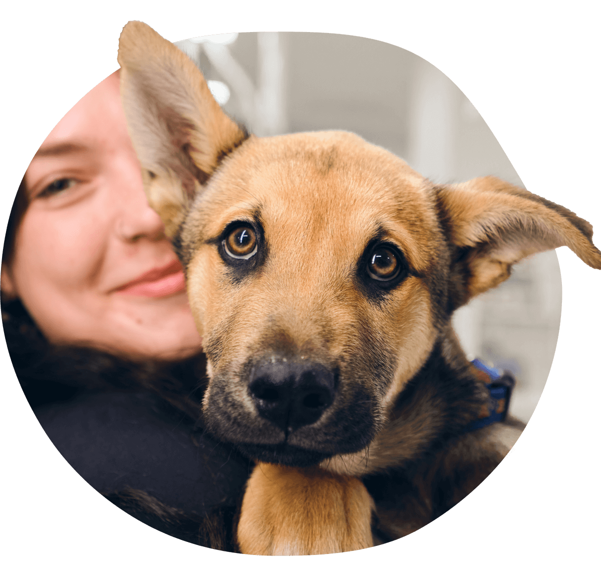 Mujer abrazando a un perro marrón con una expresión curiosa