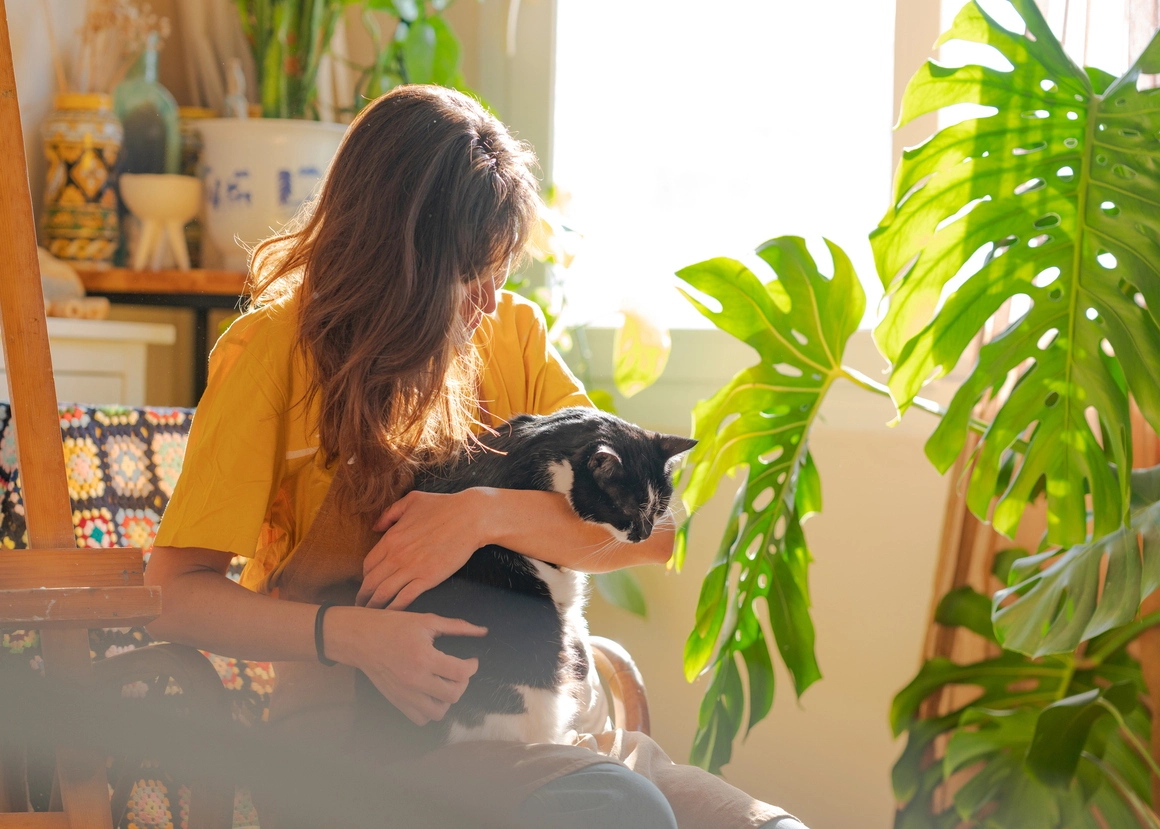 Person in yellow shirt holding a black and white cat in a sunlit room with plants.