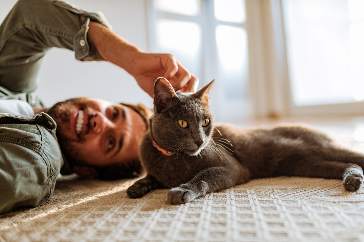 Man lying on floor petting a gray cat.