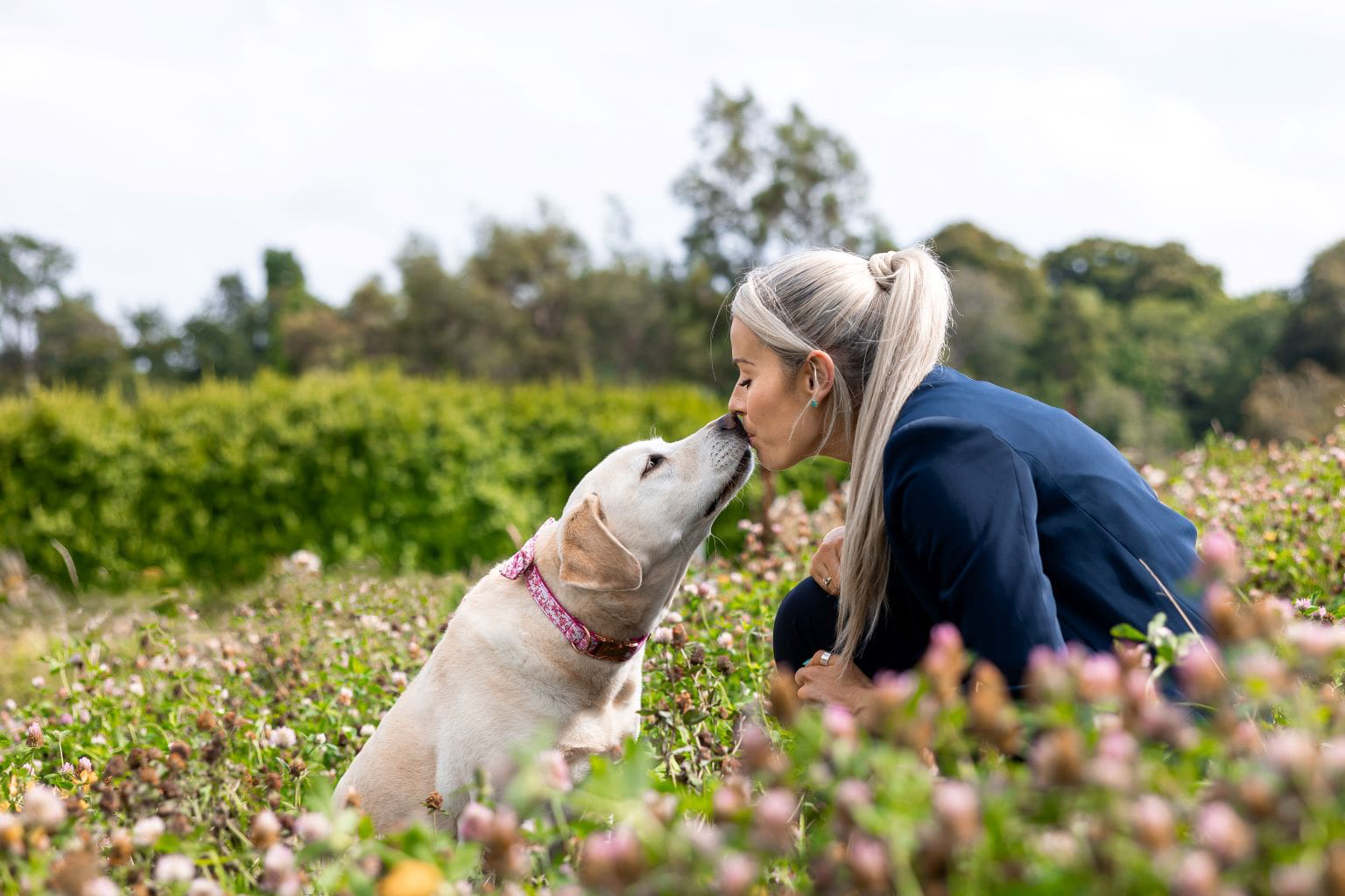 Person kissing a Labrador in a field of flowers.