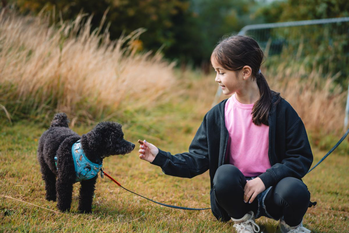Girl giving treat to a black dog on a leash outdoors.