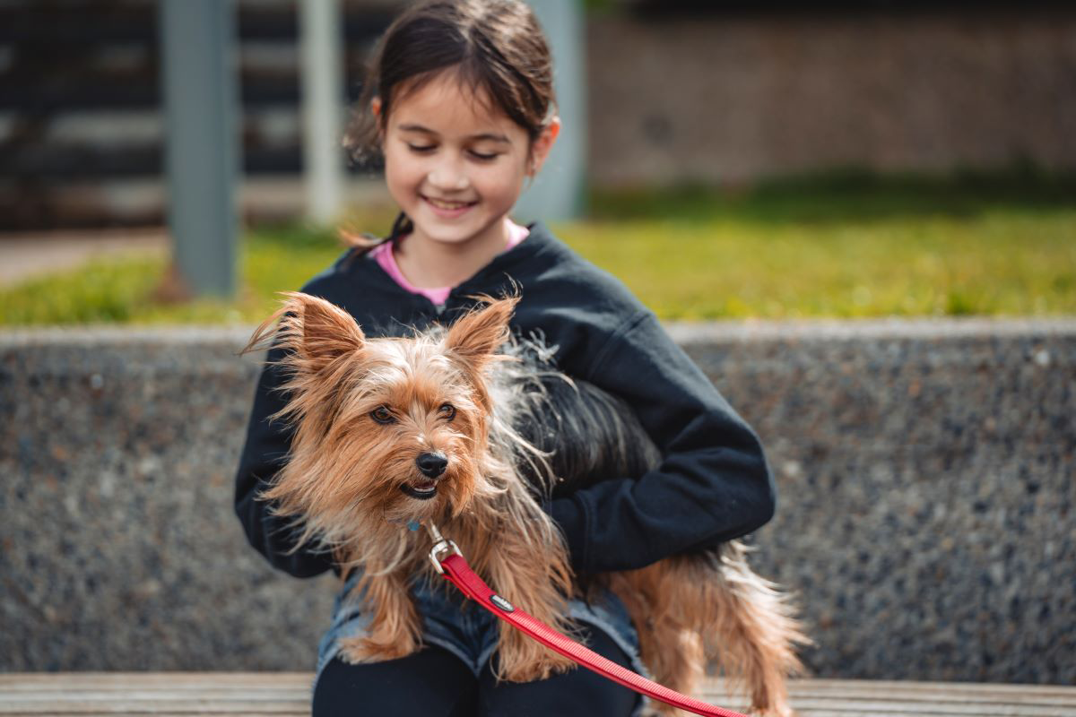 A girl smiling while holding a small dog with a red leash.