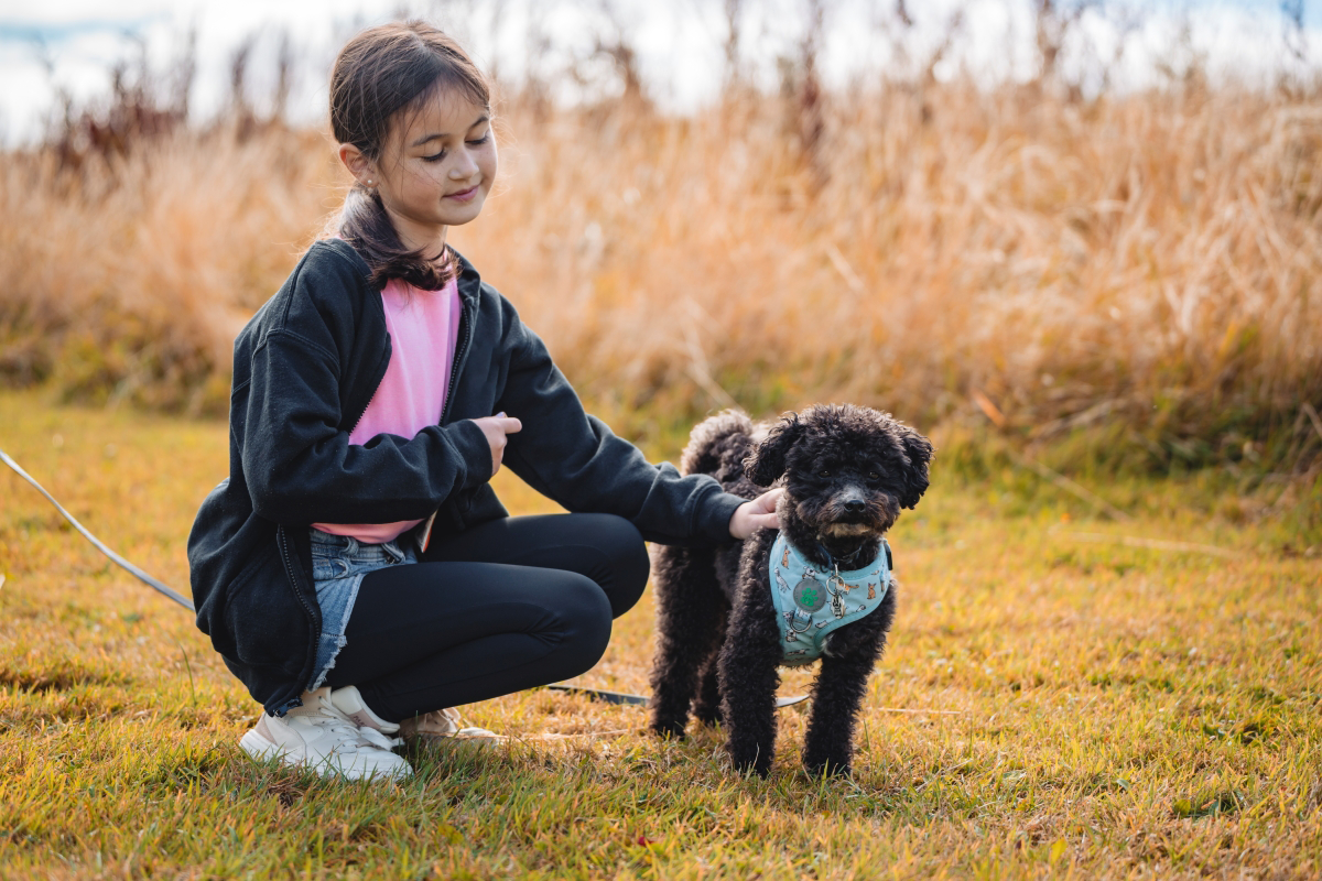 Girl kneeling and petting a black dog in a field.