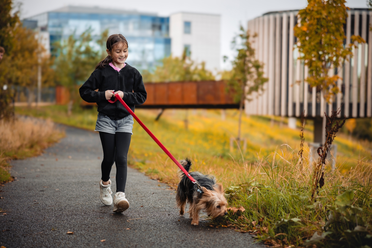 Girl walking a small dog on a leash in a park path.