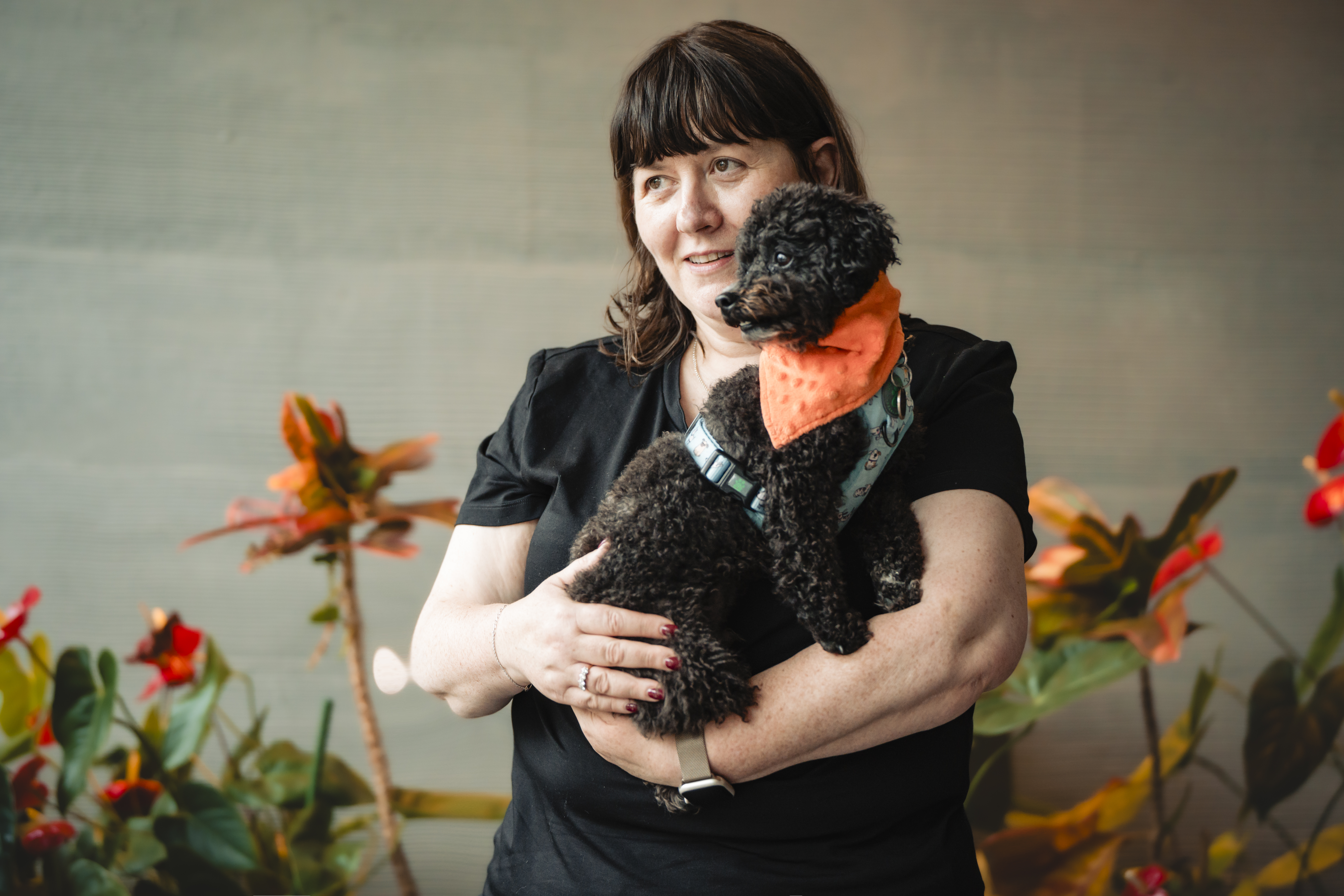 Perro siendo acariciado en un campo de hierba.