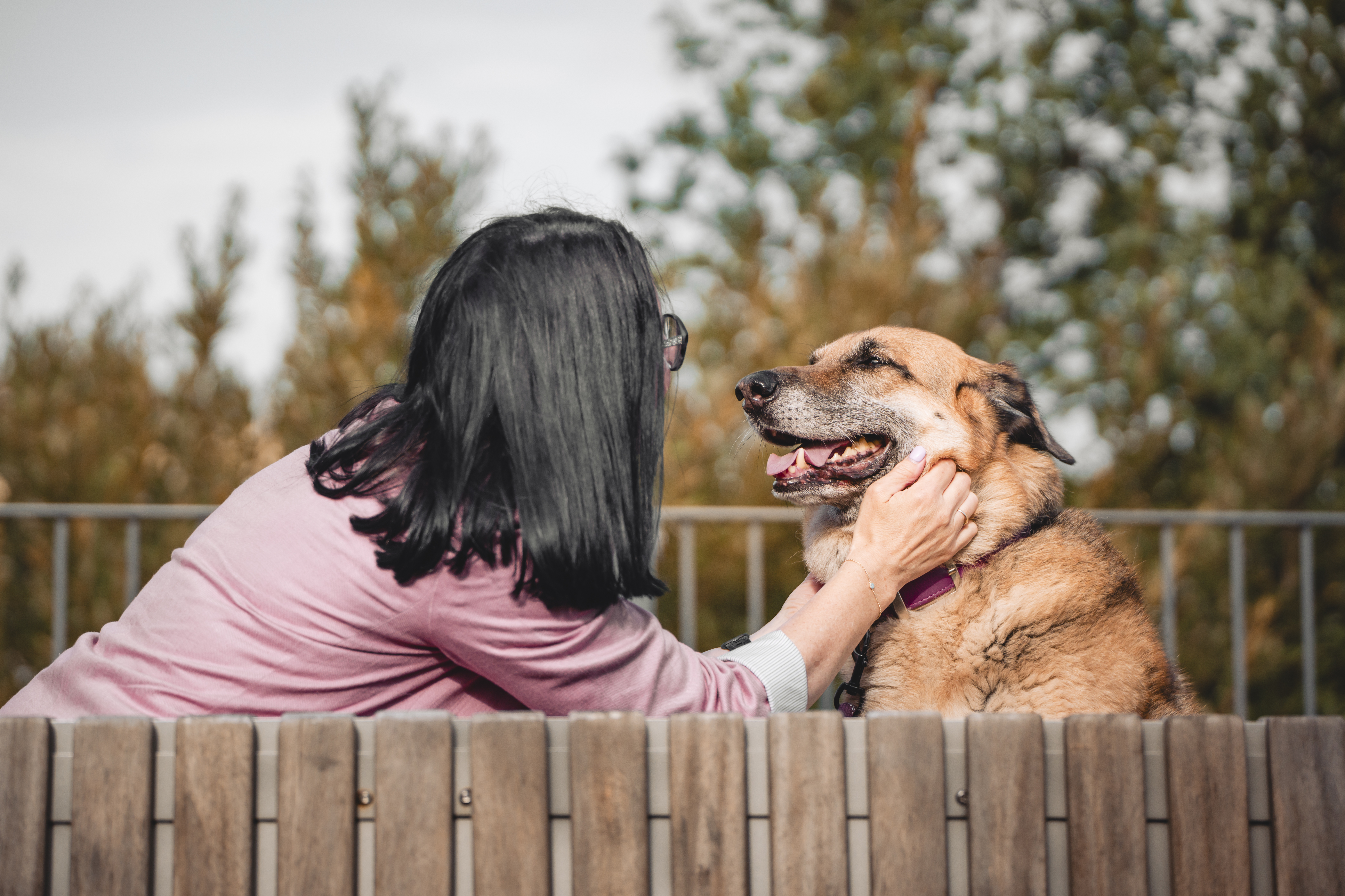 Eine Person streichelt sanft einen glücklichen Hund im Freien.