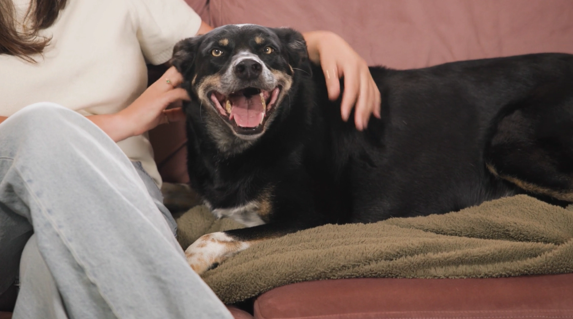 Text "Living well with arthritis" with orange swirl on white background.