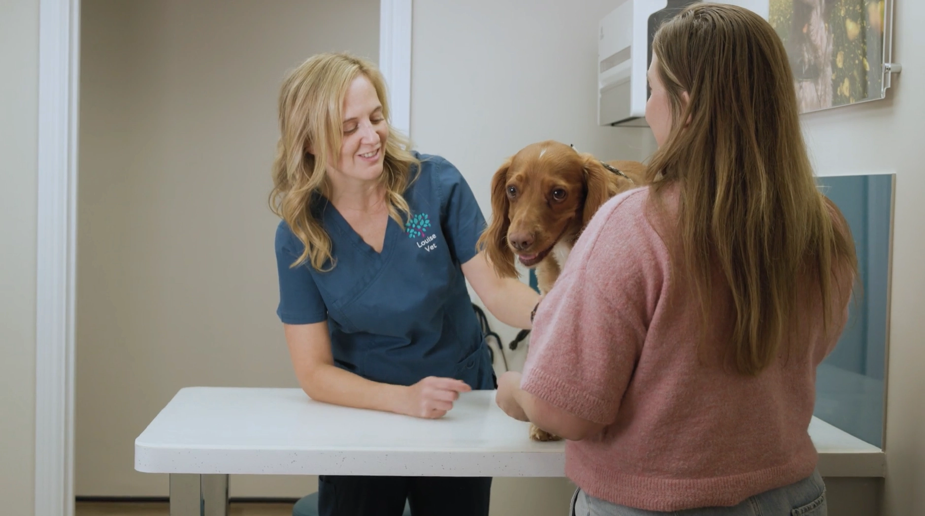 Text "How to get the most out of your vet appointment" with orange swirl on white background.