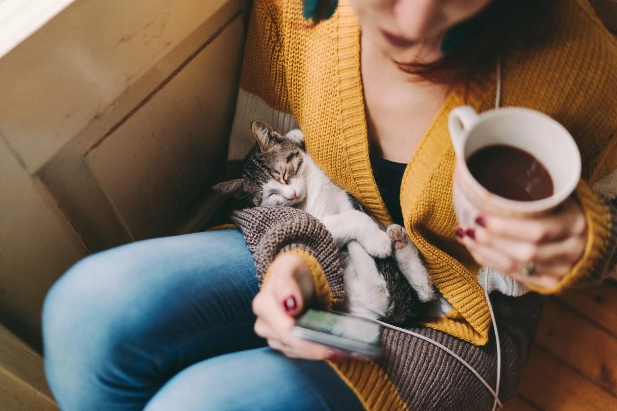 Person holding a mug with a sleeping cat on their lap and a phone in hand.