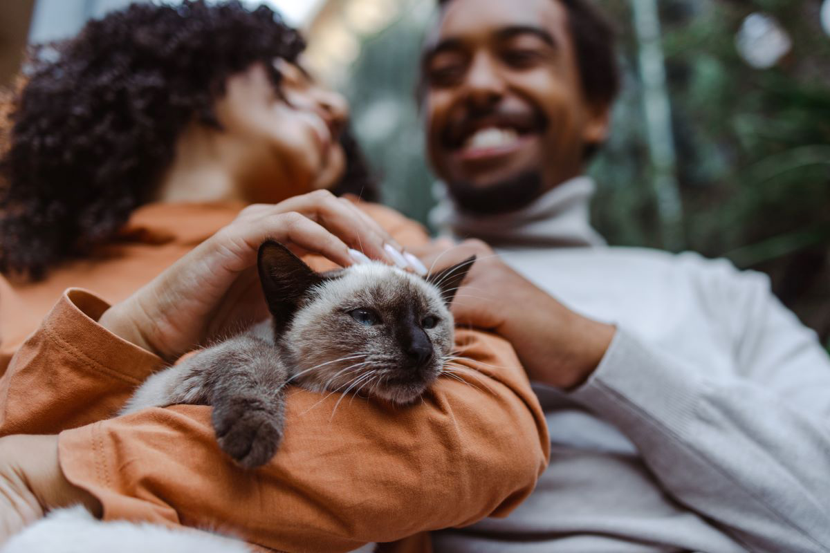 Couple smiling with a Siamese cat on their lap.