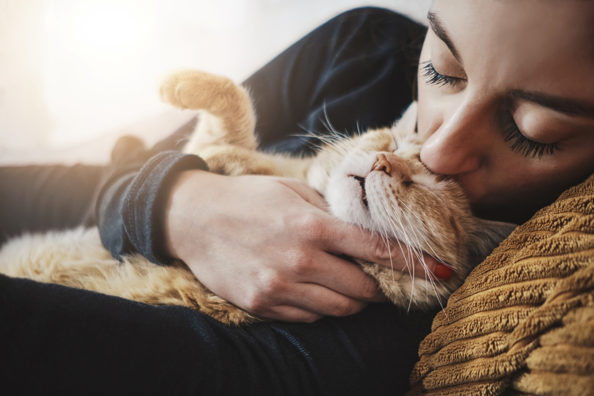 Person cuddling and kissing a relaxed orange cat.