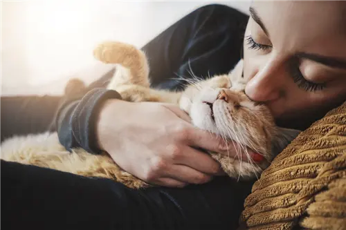 Person cuddling and kissing a relaxed orange cat.