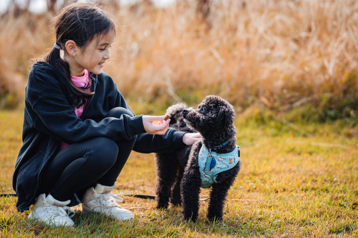 Girl petting a small black dog in a grassy field.